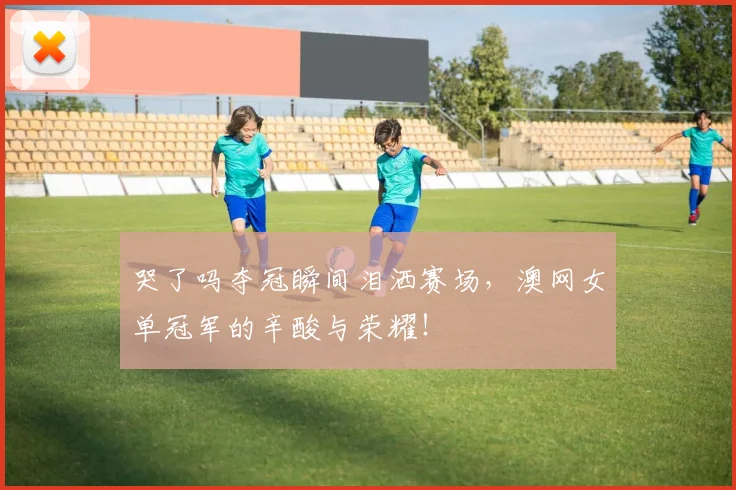 哭了吗夺冠瞬间泪洒赛场,澳网女单冠军的辛酸与荣耀!