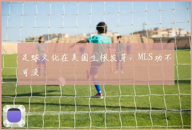 足球文化在美国生根发芽,MLS功不可没